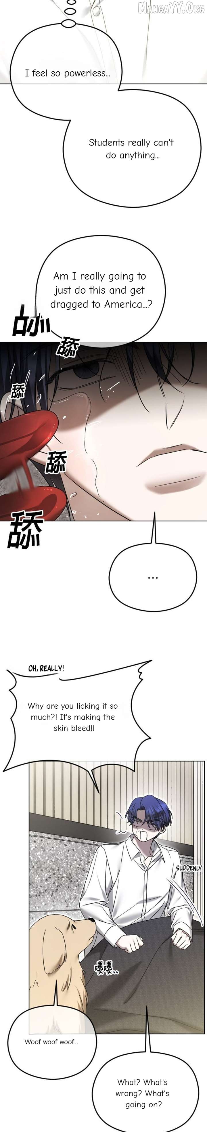 Load image...